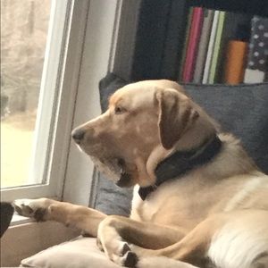 Meet your Posher, Leann